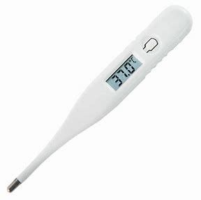 Health Celsius Body Temperature Digital Ear Accurate Thermometer